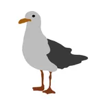 WordGull icon