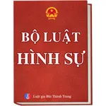 Bộ Luật Hình Sự icon