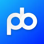 Paybek icon