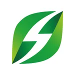 Green Flash Charge icon