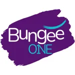 BungeeOne Studio icon