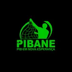 PIBANE icon