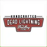 Dead Lightning icon