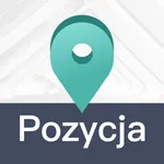 Pozycja icon