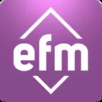 EfmAudit icon