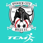 Ipswich City Bulls FC icon