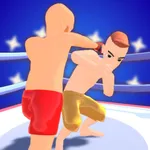 Boxer Life icon