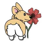 Corgi Coloring School Edition icon