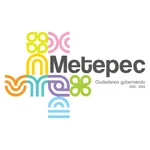 Metepec *7311 icon