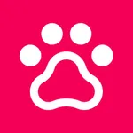 Everyday Kitten icon