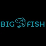Big Fish icon