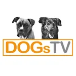 DogsTV icon