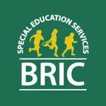 BRIC K12 icon