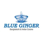 Blue Ginger. icon