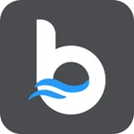 Brizo icon