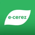 e-çerez icon