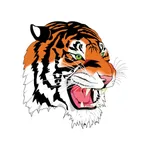 Skyline R-II School District icon
