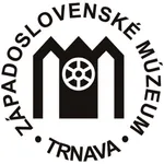 ZSM APP icon