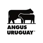 ANGUS URUGUAY icon