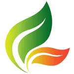 MSV Suplementos icon