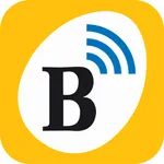 Brinsea Connect icon