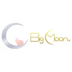 Big Moon icon