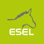 ESEL Charge icon