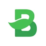 Budgetarian icon