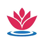 环球中荷 icon