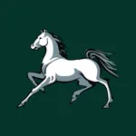 Green Forest Mustangs icon