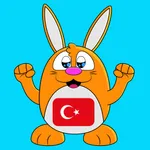 Learn Turkish - LuvLingua icon