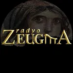 Radyo Zeugma icon