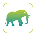 Animal Identifier-Animal World icon