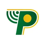 PalawanPay icon