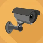 CCTV VN icon