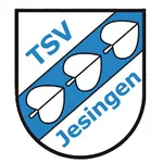 TSV Jesingen Ski icon