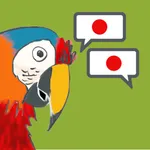 Speak Japanese Like Parrot icon