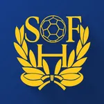 SWE Handboll icon