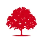 Alnus Yatirim RKYC icon