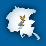 BasketFvg icon