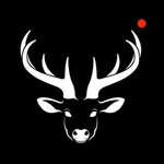 TrailCam Wifi icon