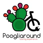 PoogliAround icon