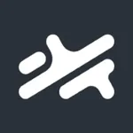 Aerofoils icon