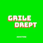 Grile Admitere Drept icon