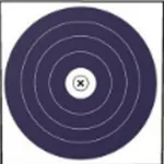 Blueface Round icon