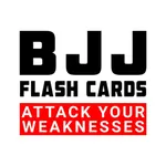 BJJ Flash Cards icon