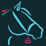 Smart Foal icon