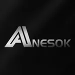 ANESOK icon