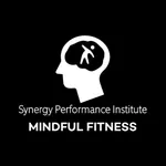 Synergy Performance Institute icon