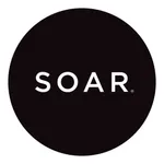 SOAR Smart icon